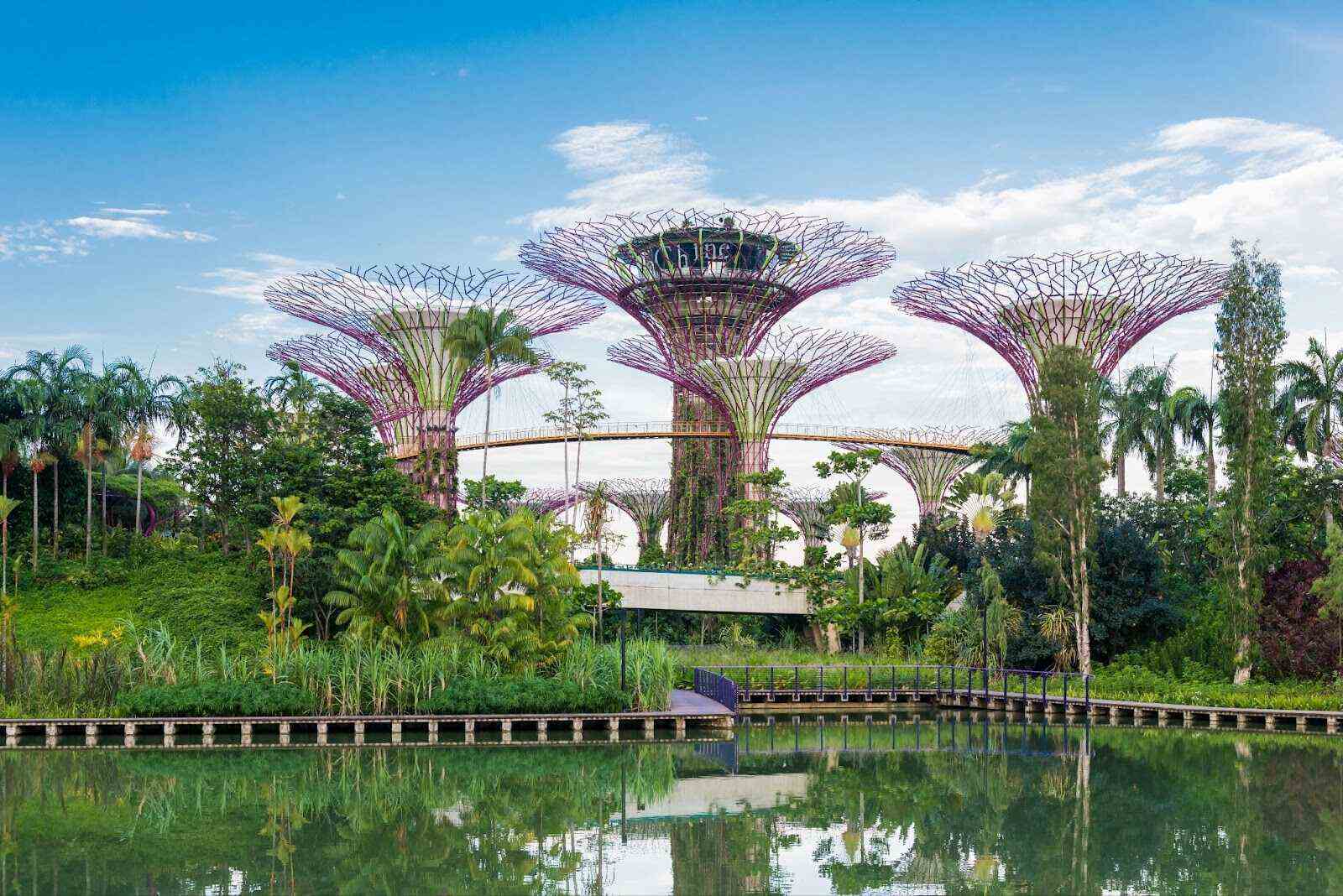 Wander Through Gardens By The Bay