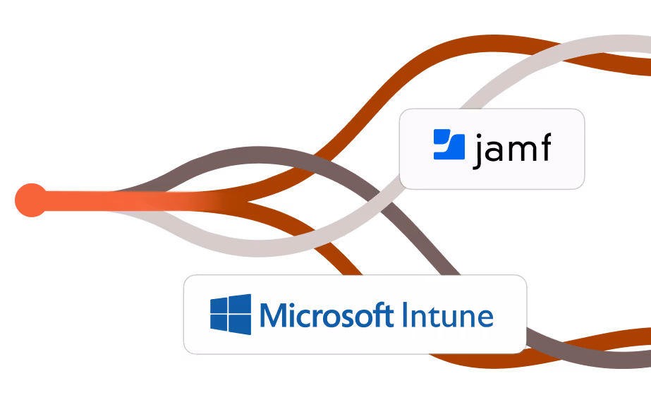 Flow diagram with three colored lines diverging to labeled boxes for Jamf and Microsoft Intune software.