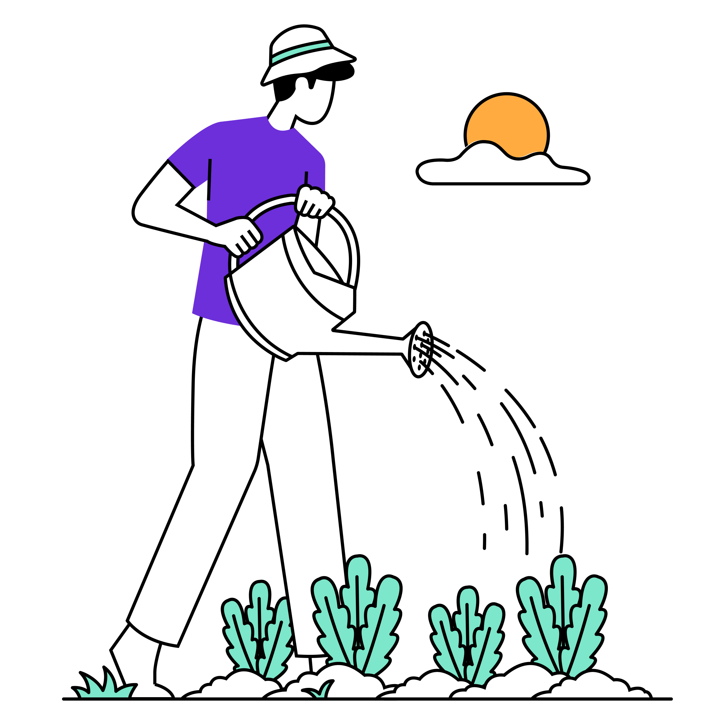 Person wearing a hat and purple shirt watering plants with a watering can.
