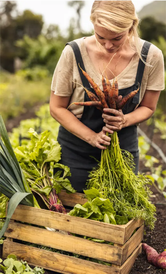 A woman holding a bunch of carrots in a garden.