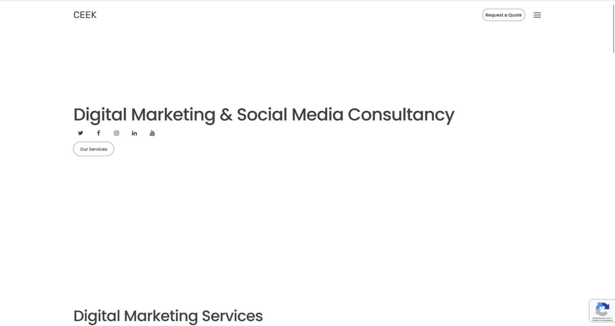Social Media Agency: CEEK