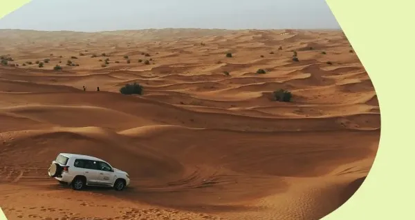 A white truck is driving through a desert.