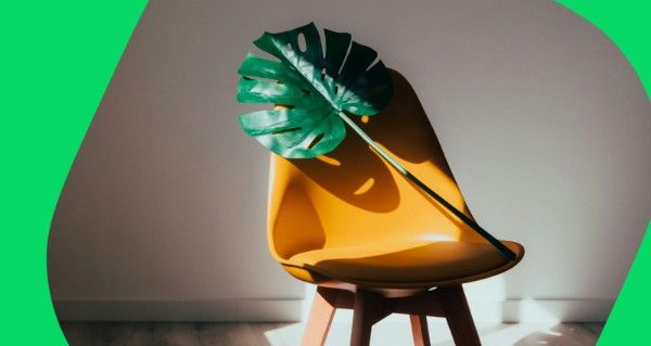A large green leaf on a yellow chair.
