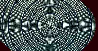 A black and white circle with a blue center.