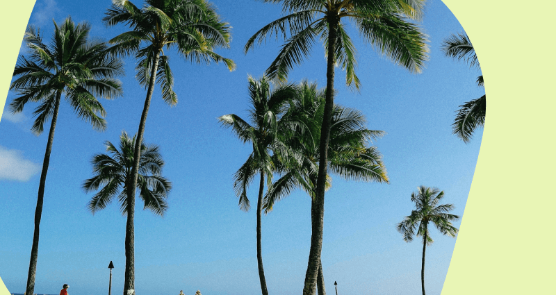 A beautiful beach scene with palm trees and people enjoying the day.