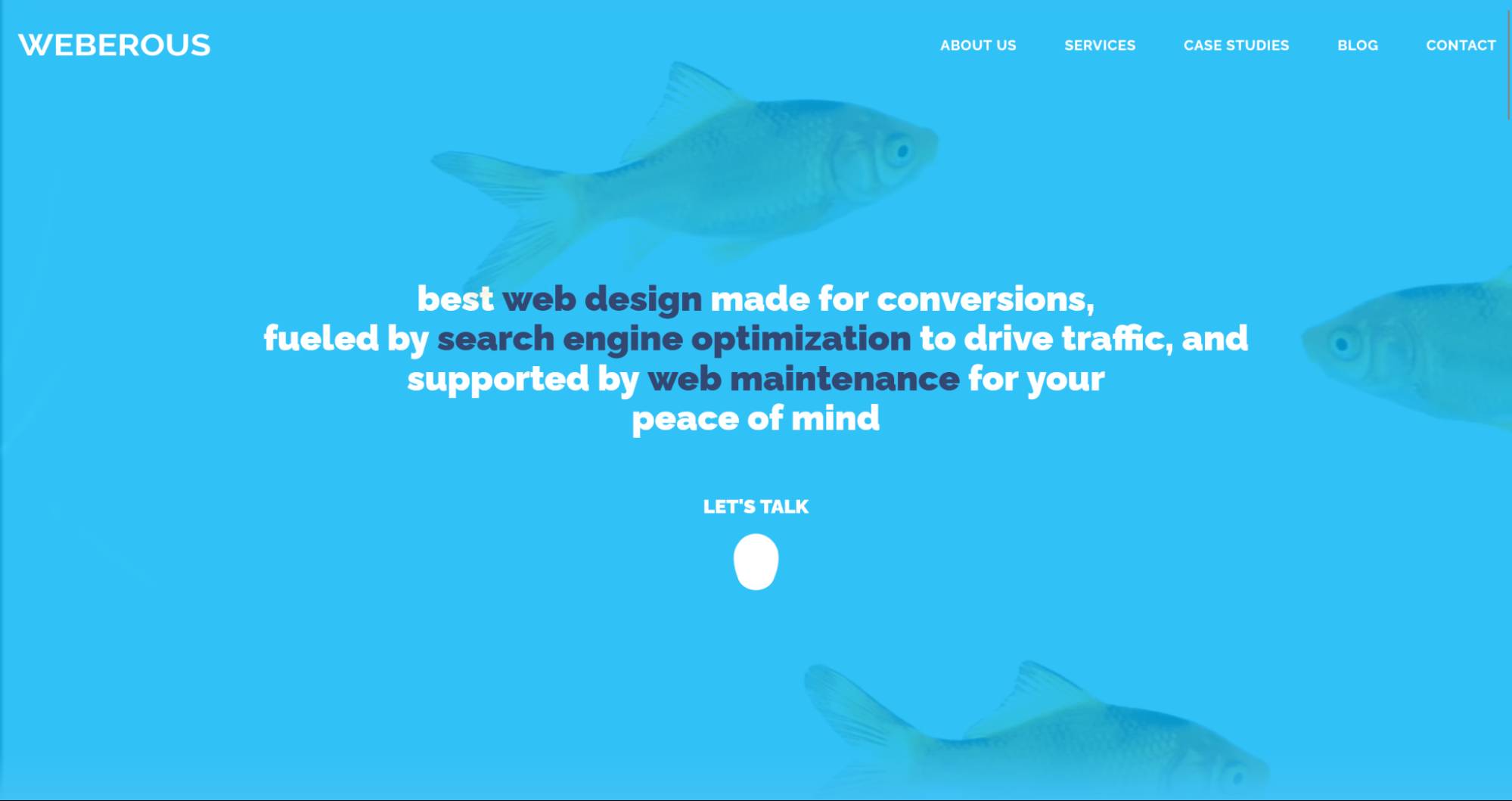 image14 Social Media Agency: Weberous