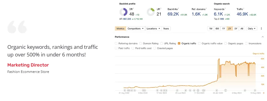 NEWMEDIA case study graphic showing organic keywords, rankings, and traffic increasing by over 500% in under 6 months, alongside an organic traffic chart