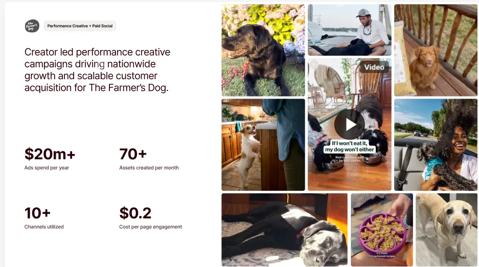 inbeat-farmers-dog-creator-campaign-results