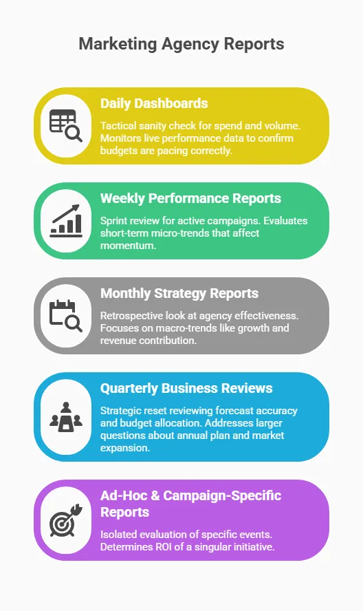 Infographic outlining different types of marketing agency reports, including daily dashboards for monitoring spend and pacing, weekly performance reports for campaign trends, monthly strategy reports for growth analysis, quarterly business reviews for strategic planning, and ad-hoc reports for evaluating specific campaigns or initiatives.