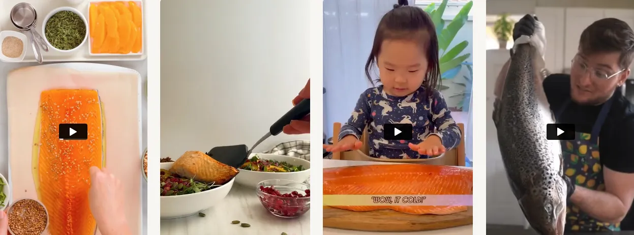 Collection of video thumbnails showing salmon preparation and cooking, including seasoning a raw salmon fillet, plating cooked salmon with salad, a child touching a large salmon fillet, and a cook holding a whole fish.