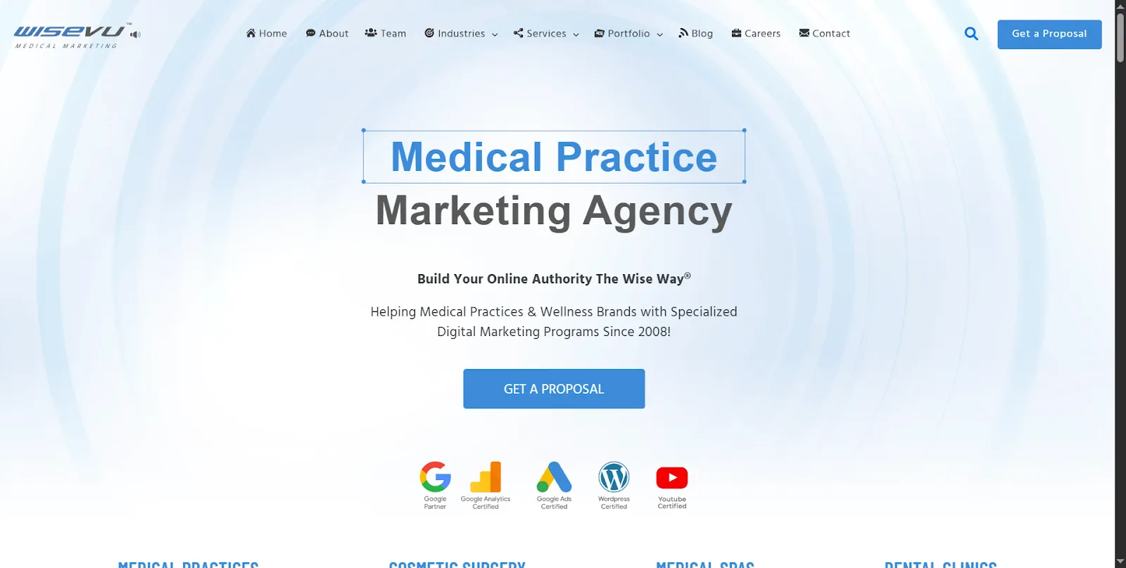 Top healthcare marketing agency: Wisevu