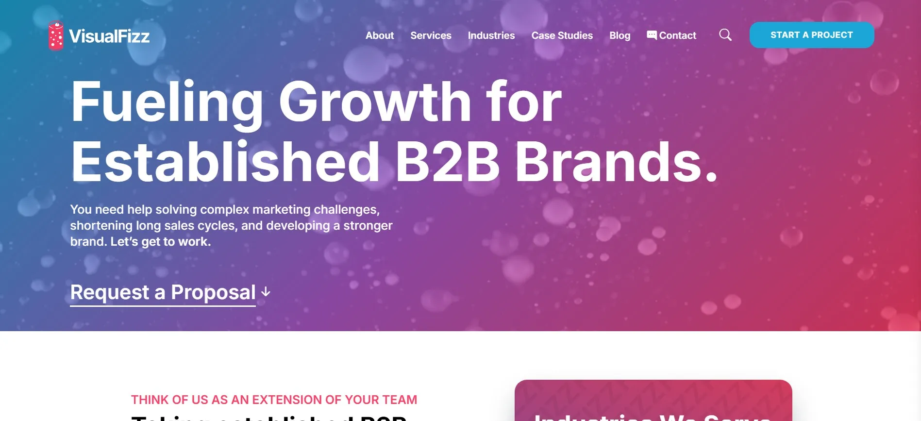 VisualFizz B2B agency for branding, search, and marketing strategy in Chicago.