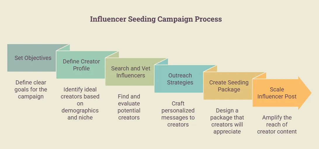 Step-by-step infographic outlining an influencer seeding campaign process, including setting campaign objectives, defining the ideal creator profile, searching and vetting influencers, developing outreach strategies, creating product seeding packages, and scaling successful influencer content to increase reach and engagement.