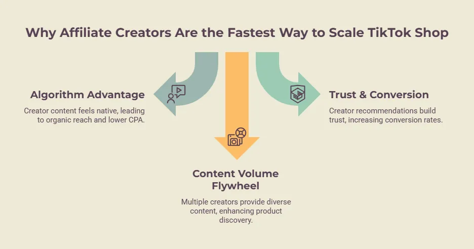 Diagram showing how affiliate creators help scale TikTok Shop through algorithm advantages, trust-driven conversions, and increased content volume.