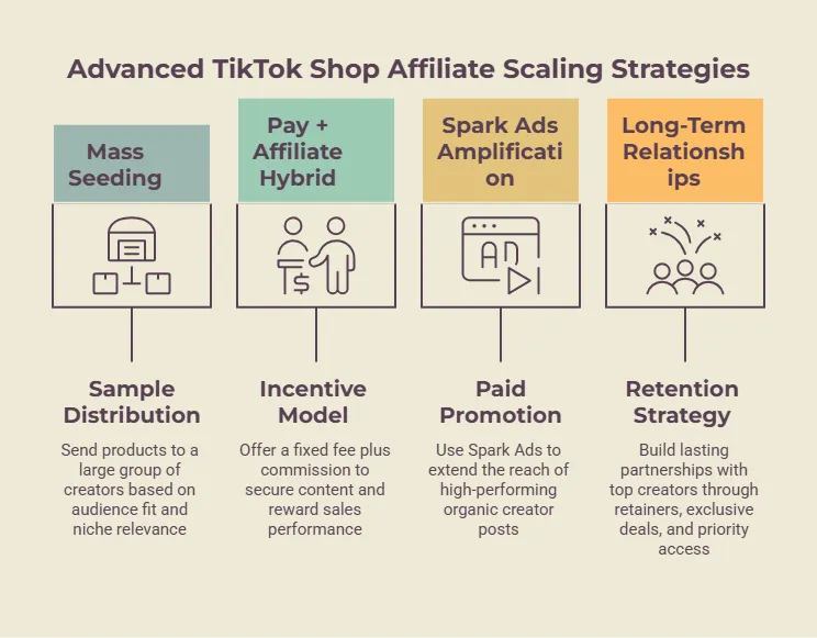 Framework outlining TikTok Shop affiliate scaling strategies, including mass seeding, hybrid affiliate models, Spark Ads amplification, and long-term creator partnerships.