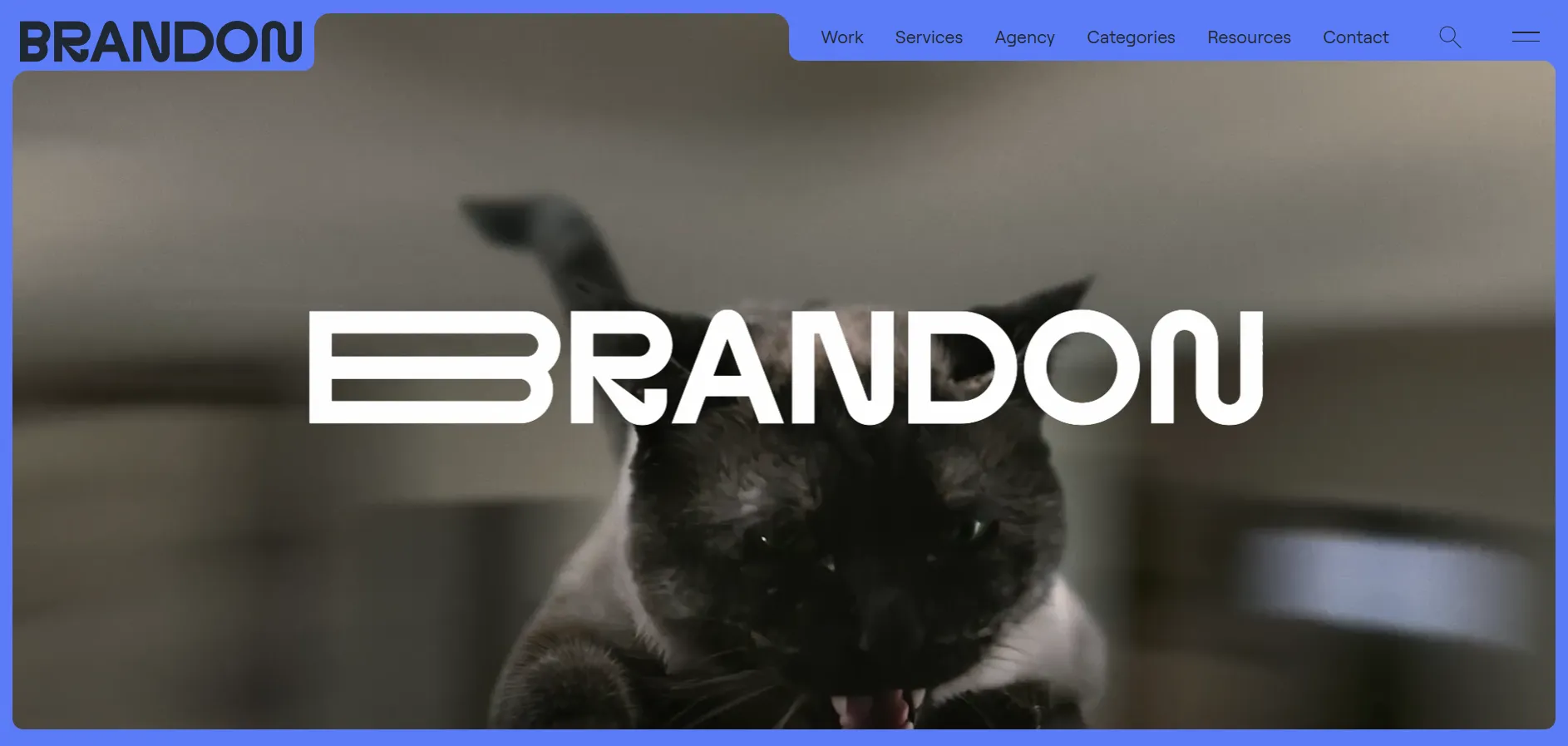 CPG Marketing Agency - The Brandon Agency