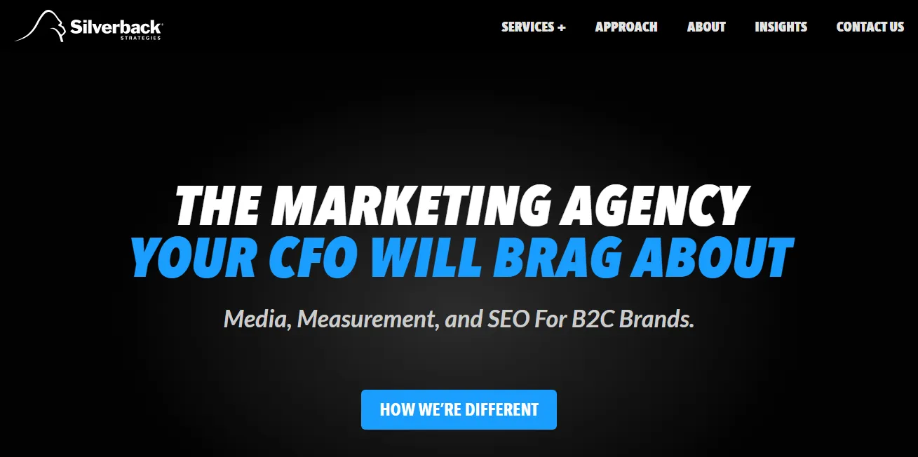 Screenshot of the homepage of Silverback Strategies, a digital marketing agency in Washington, DC.