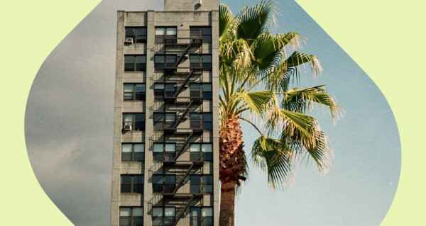 The NYC vs LA Creator Economy - Which performs better