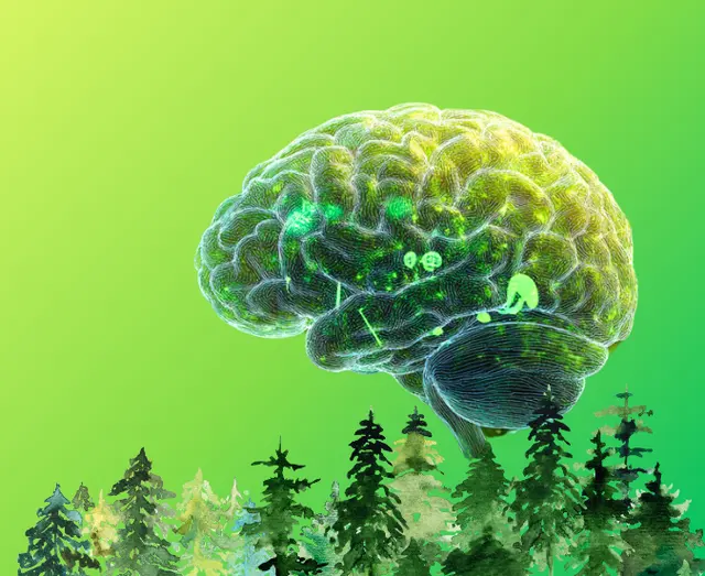 Illustration of a translucent human brain floating above a forest with a green gradient background.