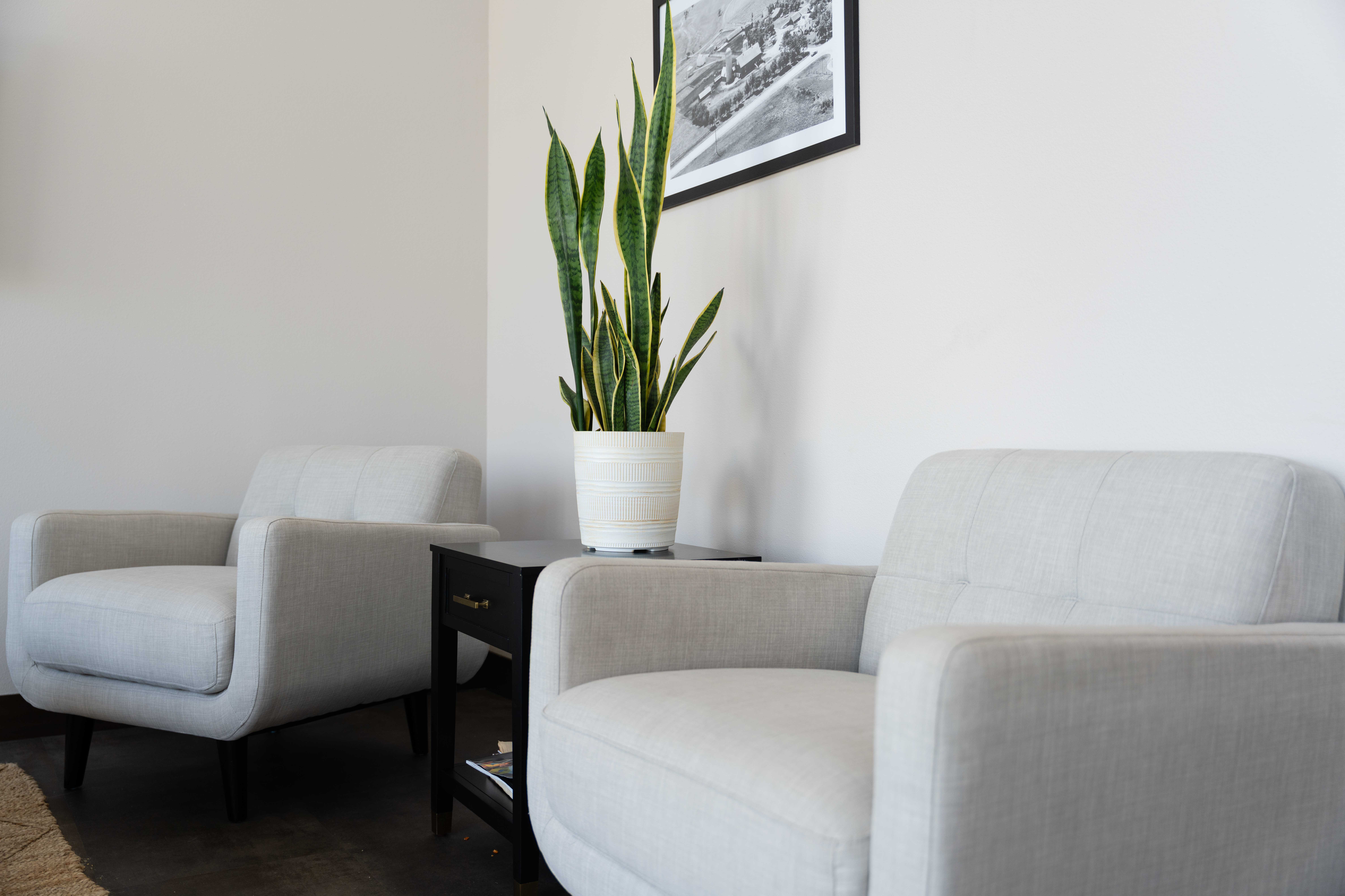 White Side chairs and end table.