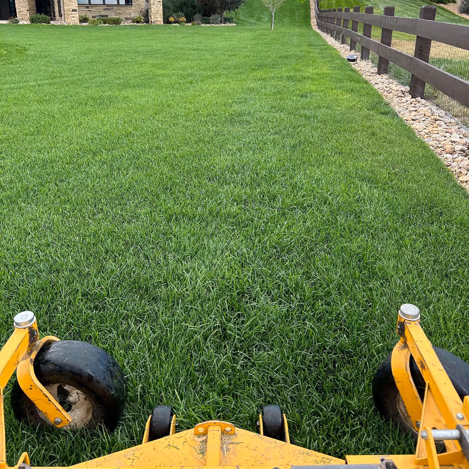 Lawn Maintenance near me | Belmire Premier Landscape solutions | Loveland, Colorado