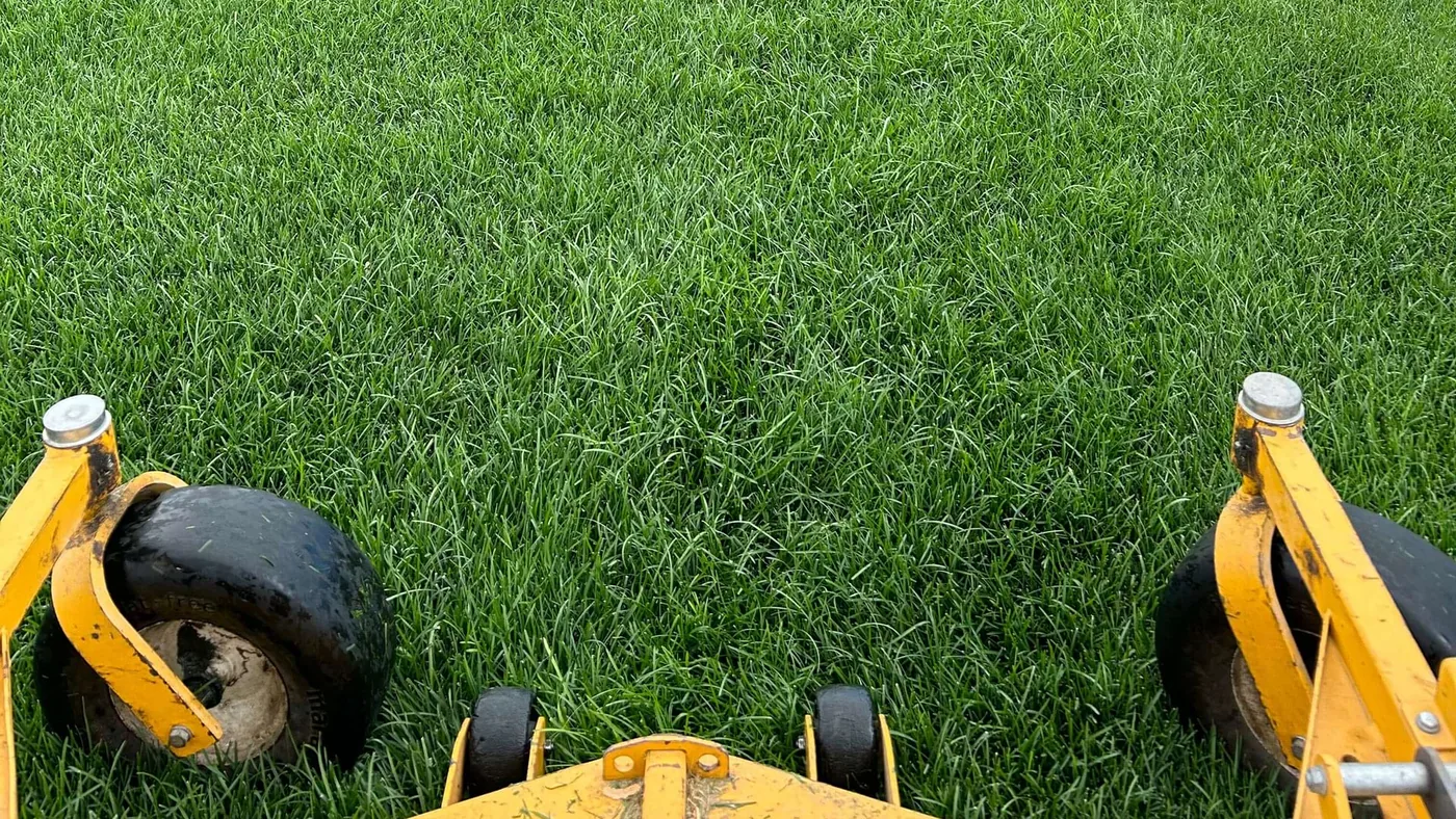 Belmire crew maintaining a residential lawn