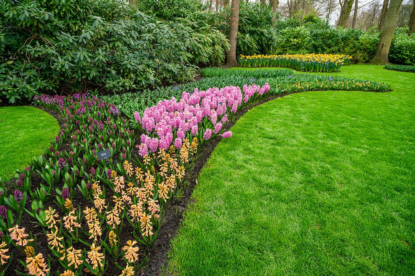 Crisp edged border between lawn and planting bed