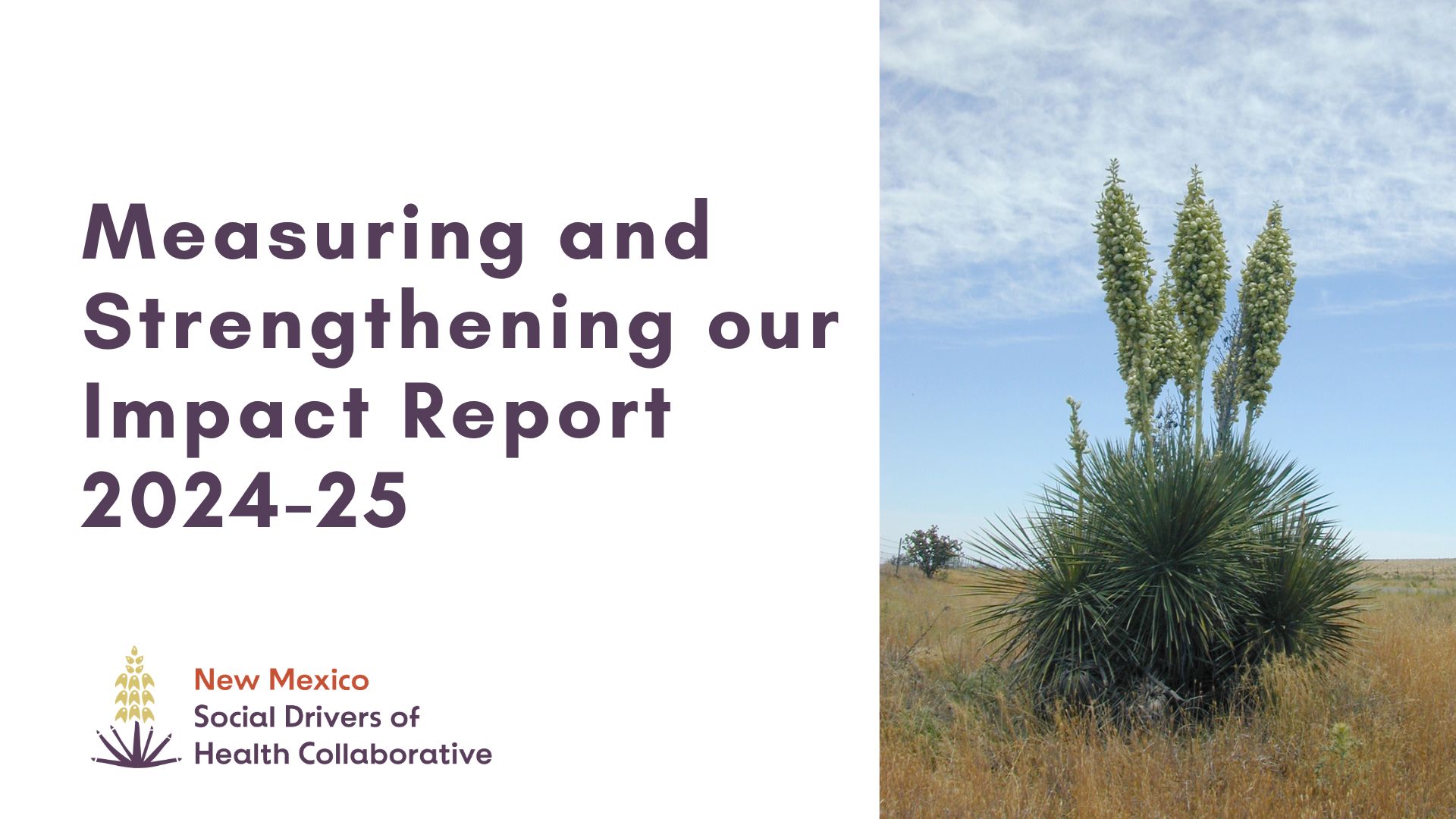 2025 NMSDOH-C Measuring and Strengthening Our Impact Report Slides