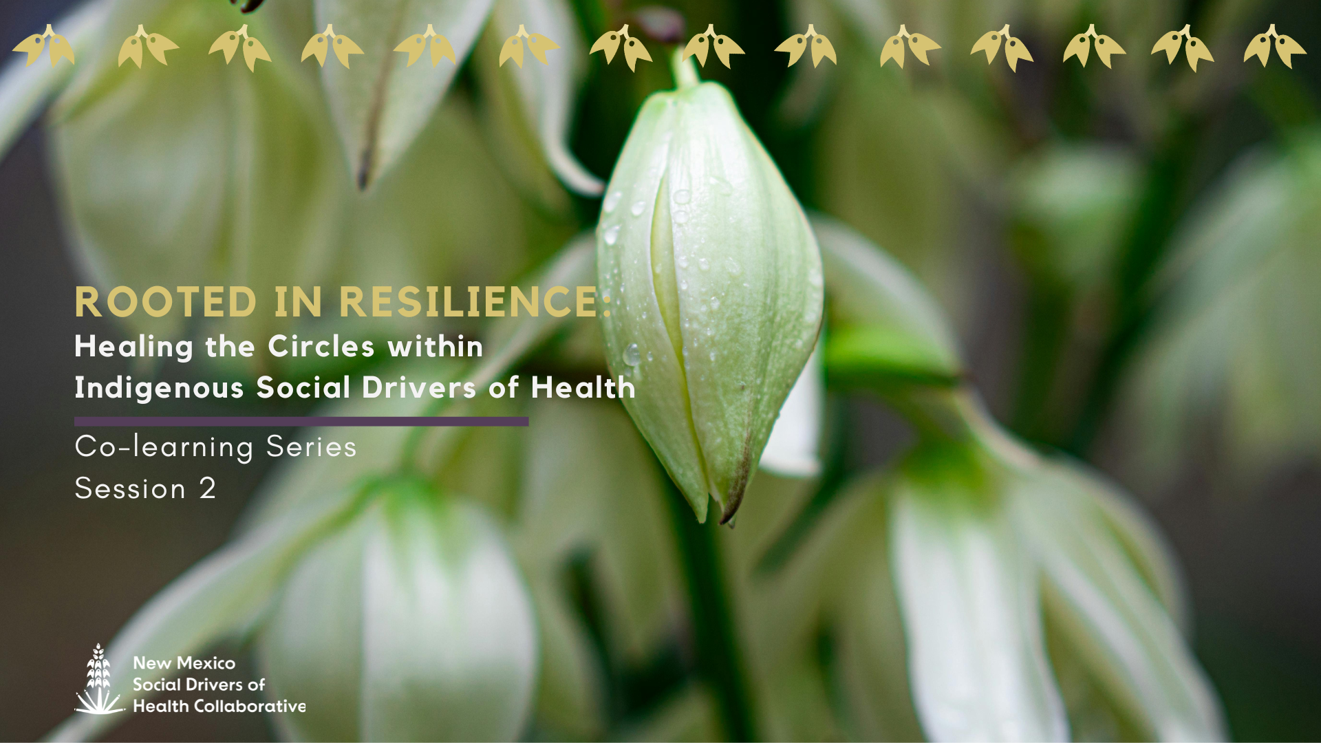 Session Recording: Rooted in Resilience - Community-led Approaches to Integrating ISDOH within the Healthcare system