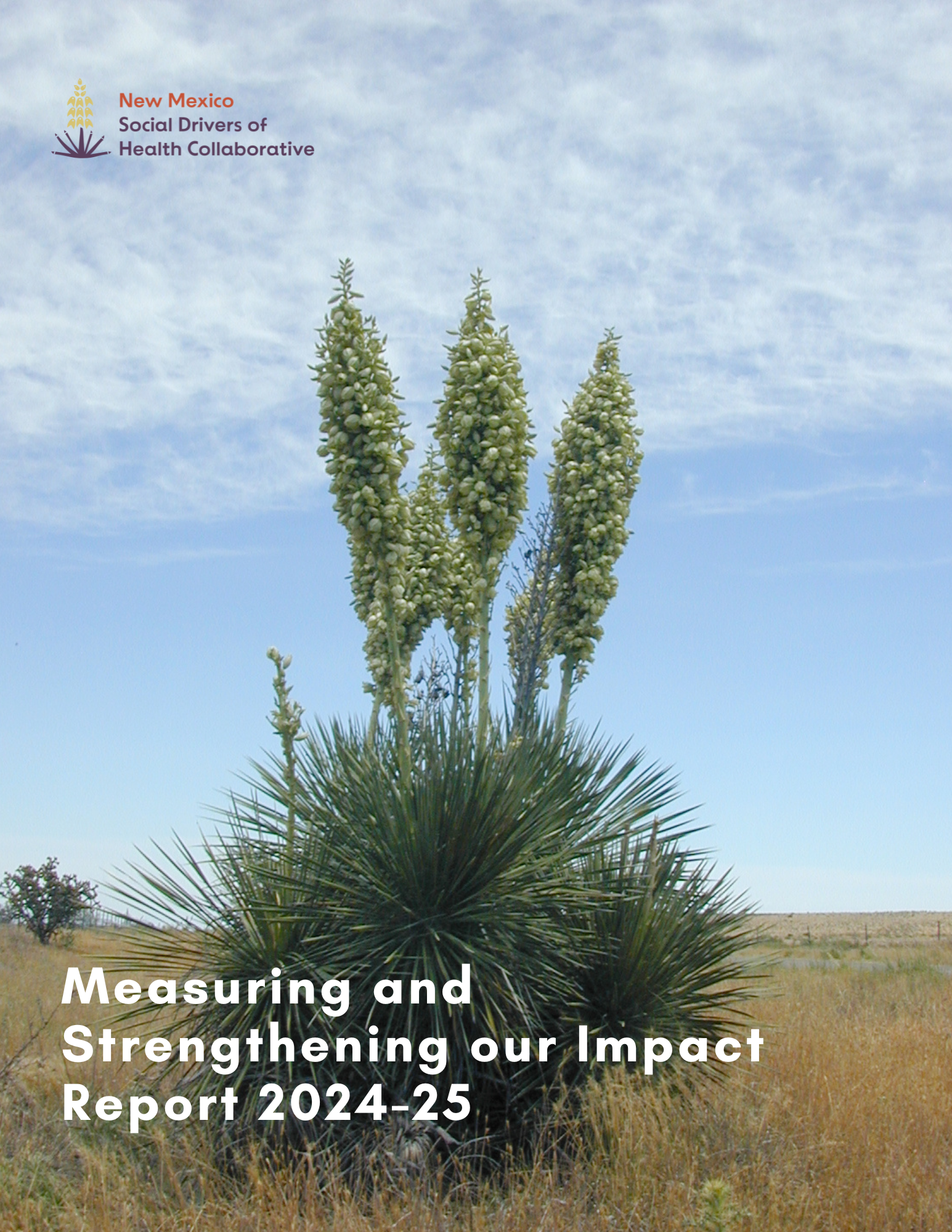 NMSDOH-C Measuring and Strengthening our Impact Report 2024-25