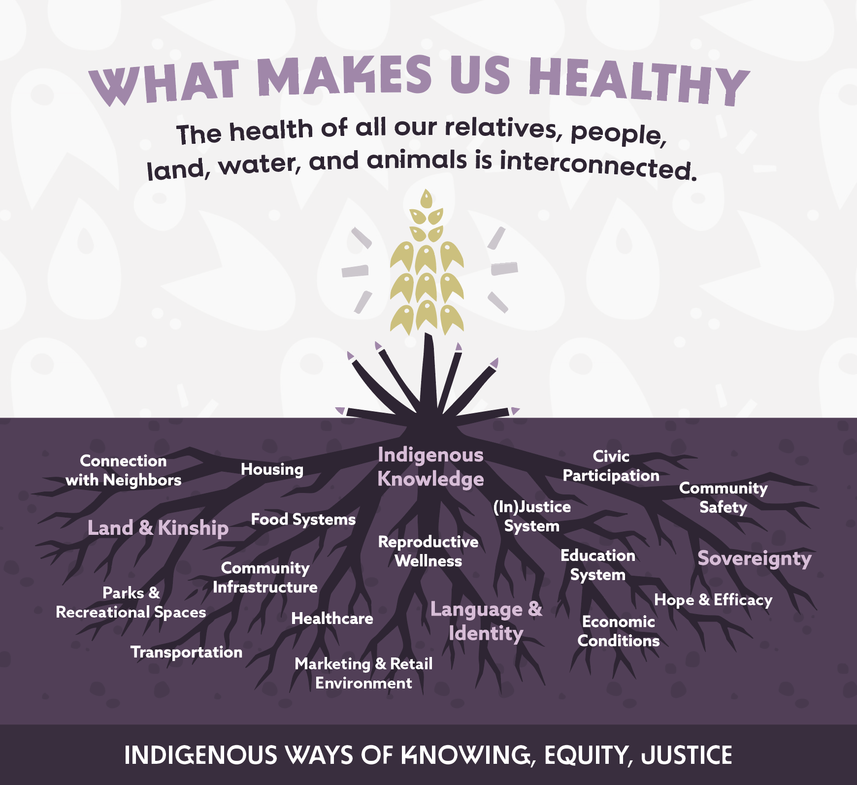 Rooted in Resilience: New Mexico Indigenous Social Drivers of Health Yucca Framework