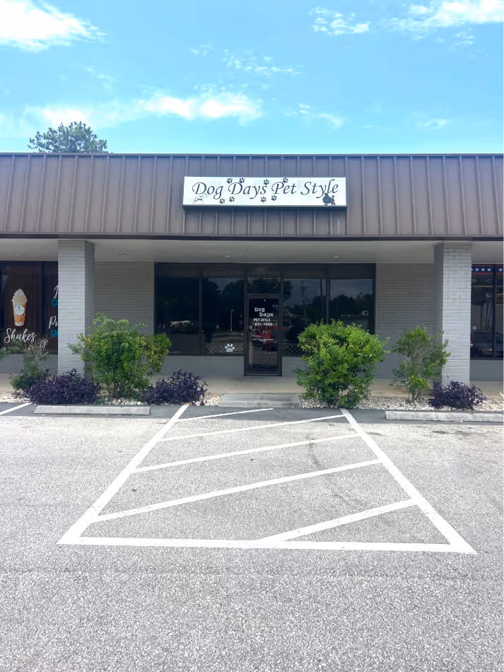 Summerville, SC 29483