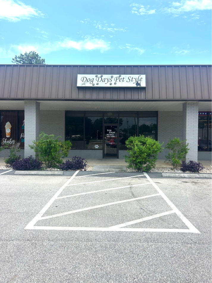 Summerville, SC 29483