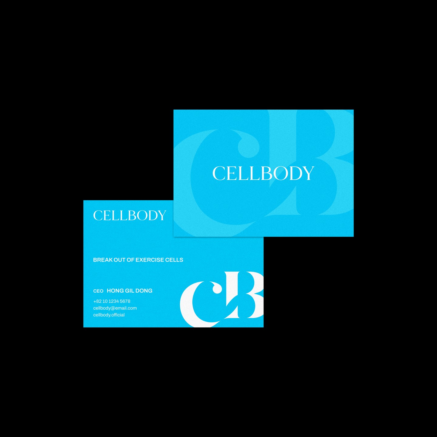 디스페이스 회사 로고 기업 로고제작