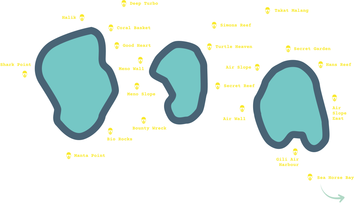 Dive sites around the Gili Islands