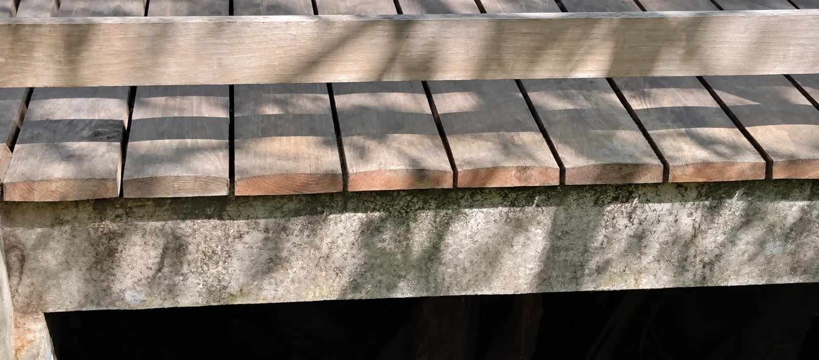 Close-up of weathered silver gray black locust deck boards on the Audubon Corkscrew Swamp Sanctuary boardwalk