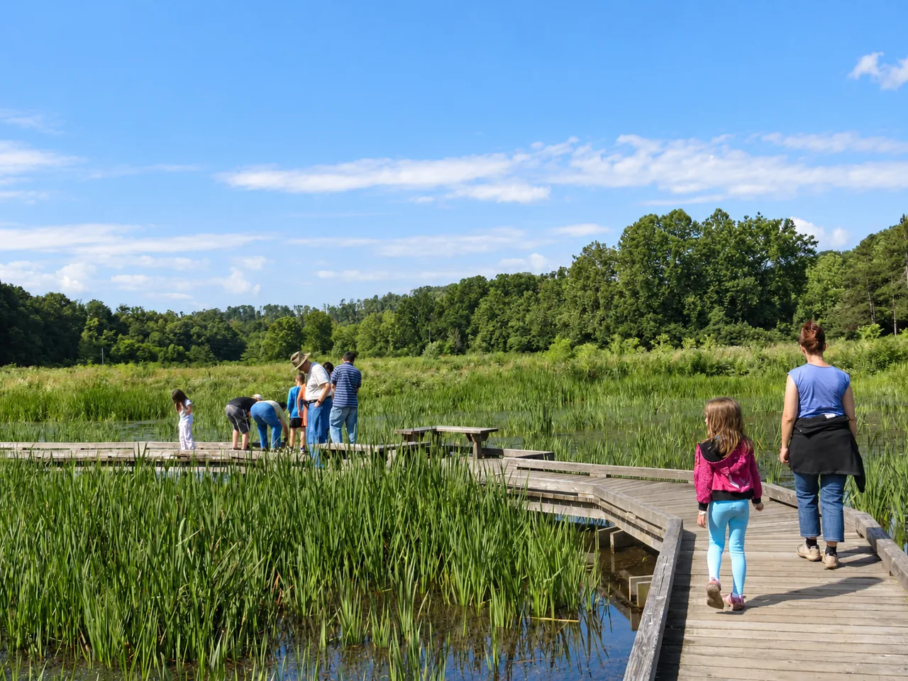 Wingfield Pines/Allegheny Land Trust