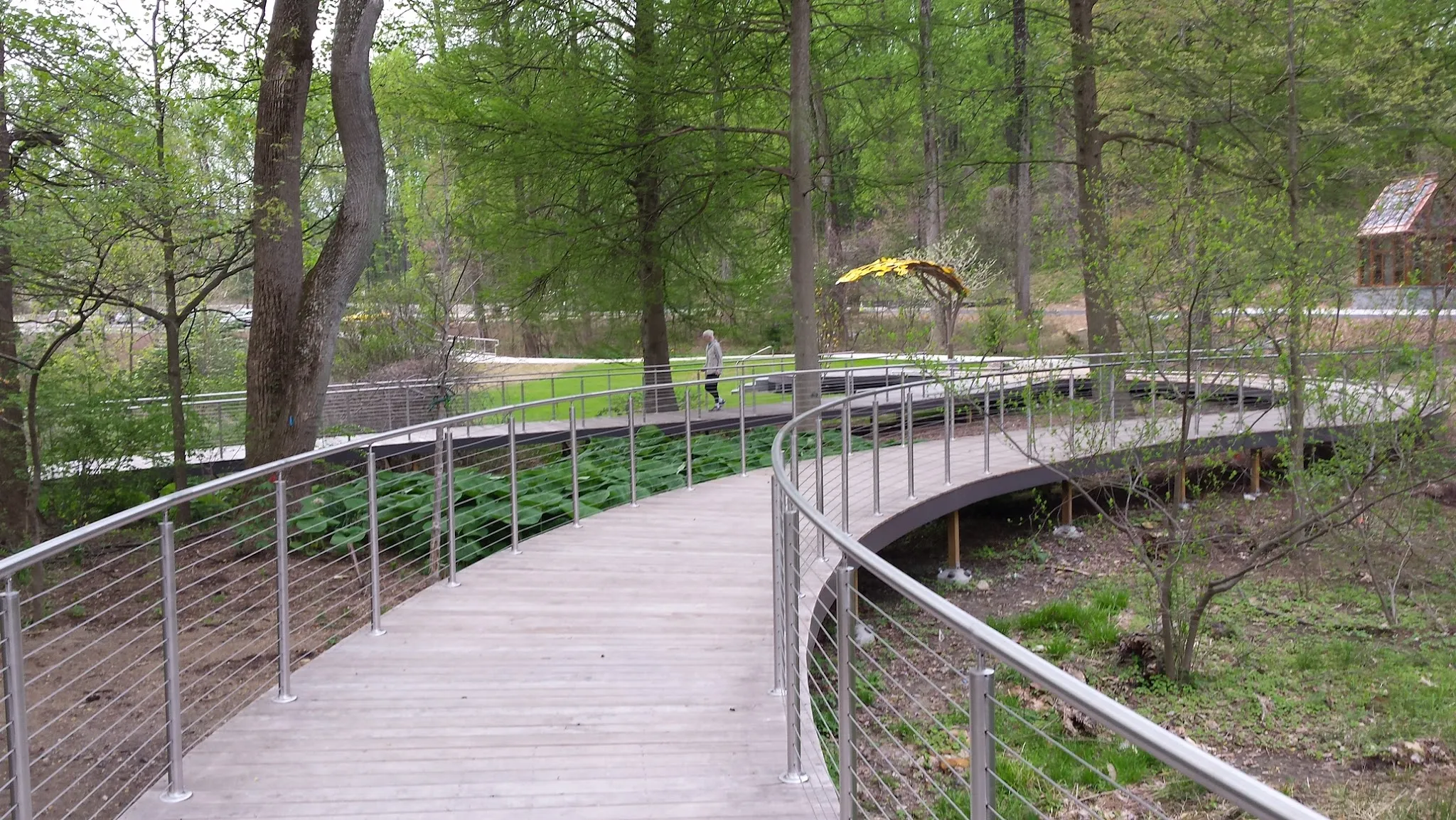 Curved wooden boardwalk through a forest