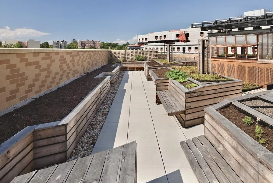Rooftop terrace with wooden planter boxes