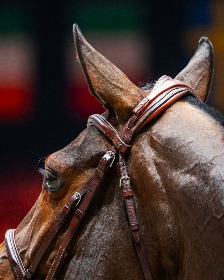 Trense Kent Farrington