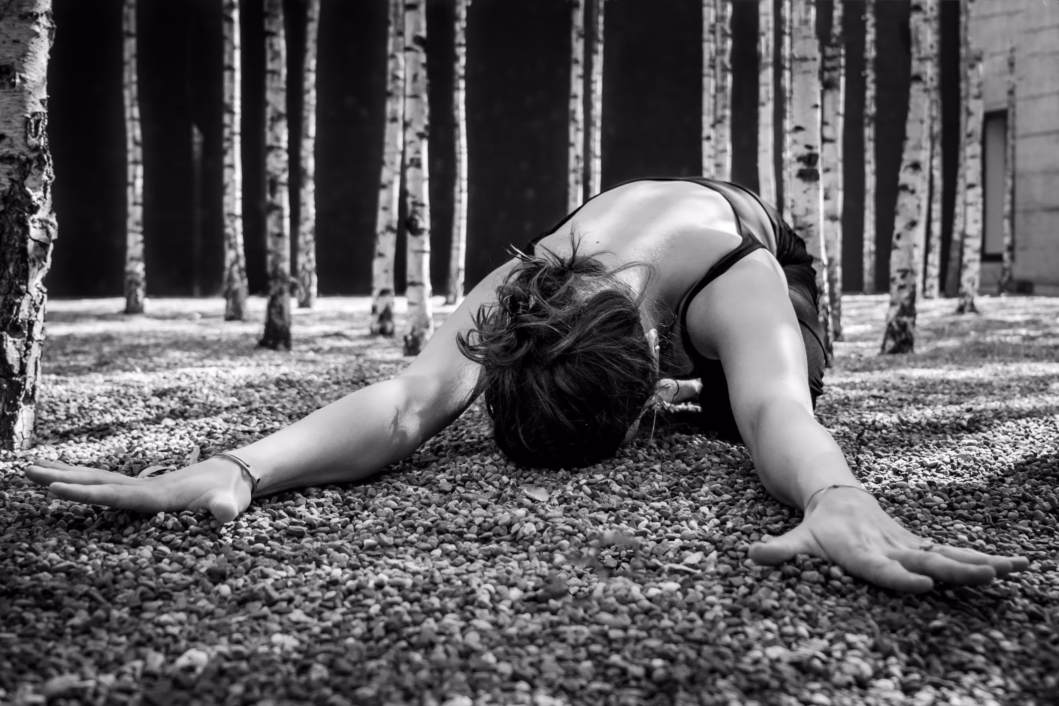 Person stretching forward on gravel ground among birch trees with arms extended, head down.
