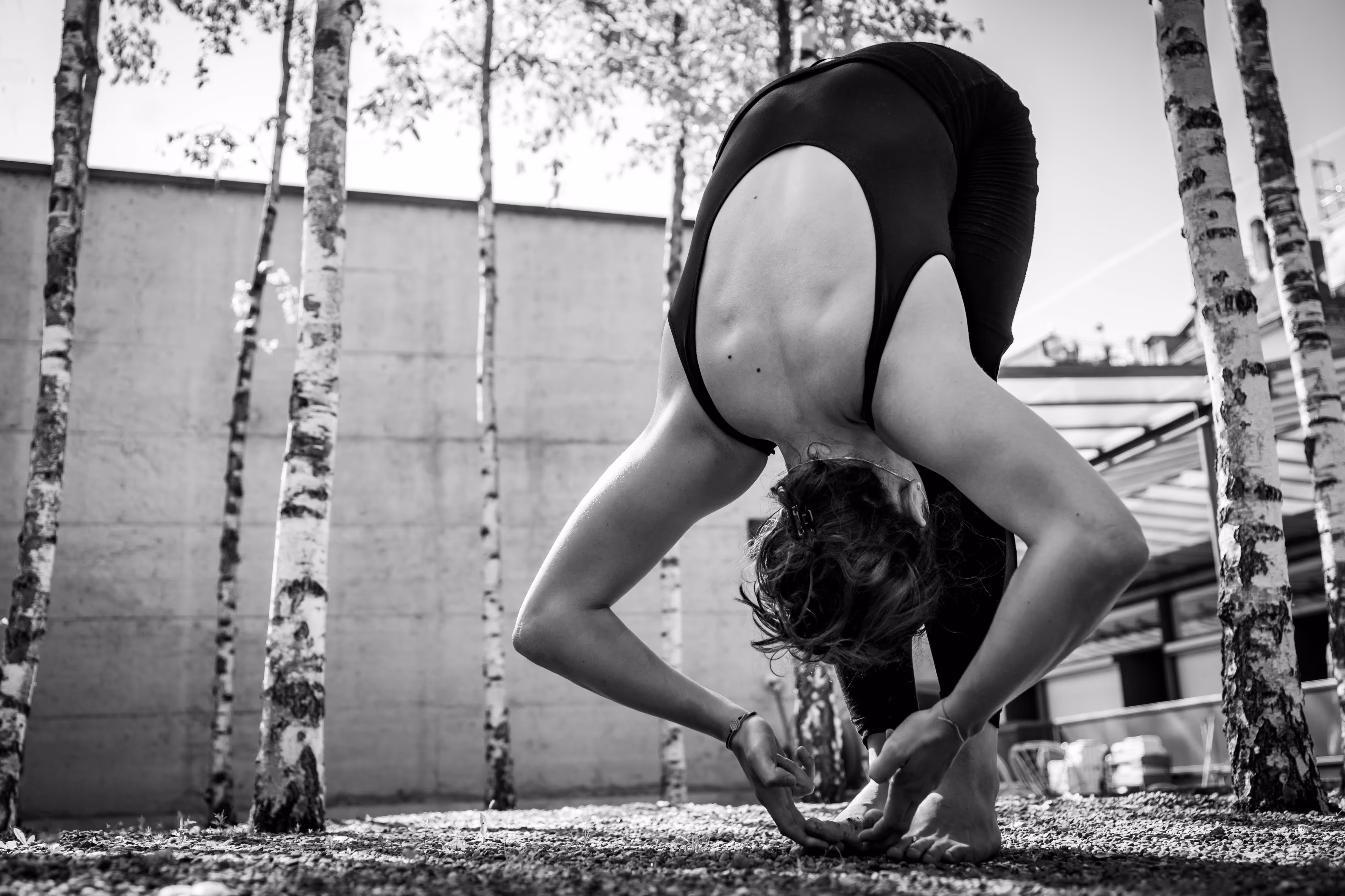 Person in black outfit performing a forward bend yoga pose outdoors among birch trees on gravel ground.