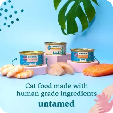 Untamed add