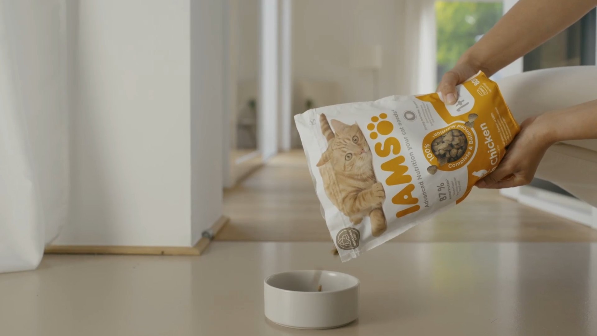 Realdreh am Set: IAMS Brandfilm Making-of