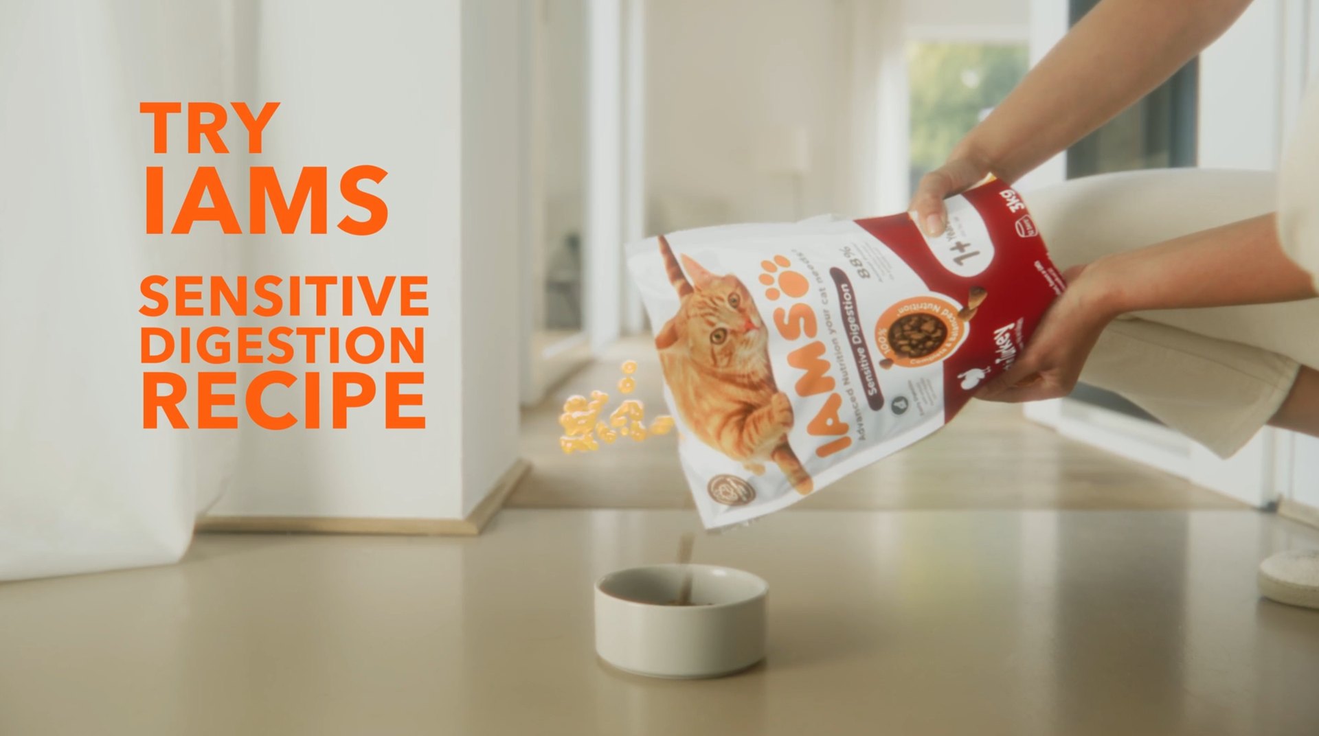 Finales Bild mit 3D-Elementen: IAMS Brandfilm