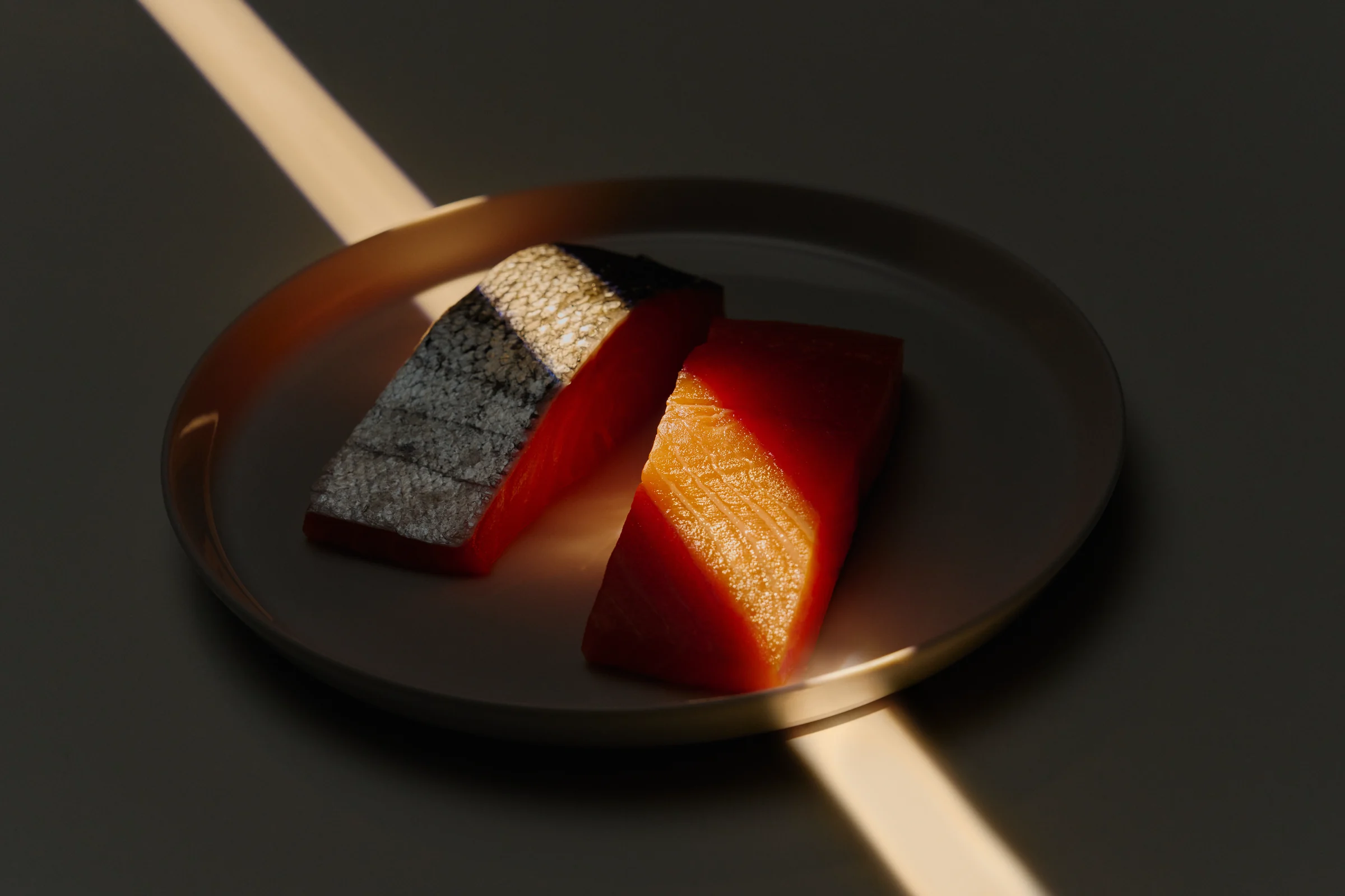 Lachsfilet auf dunklem Teller in einem Lichtstreifen, Szene aus der SEVERIN Kampagne