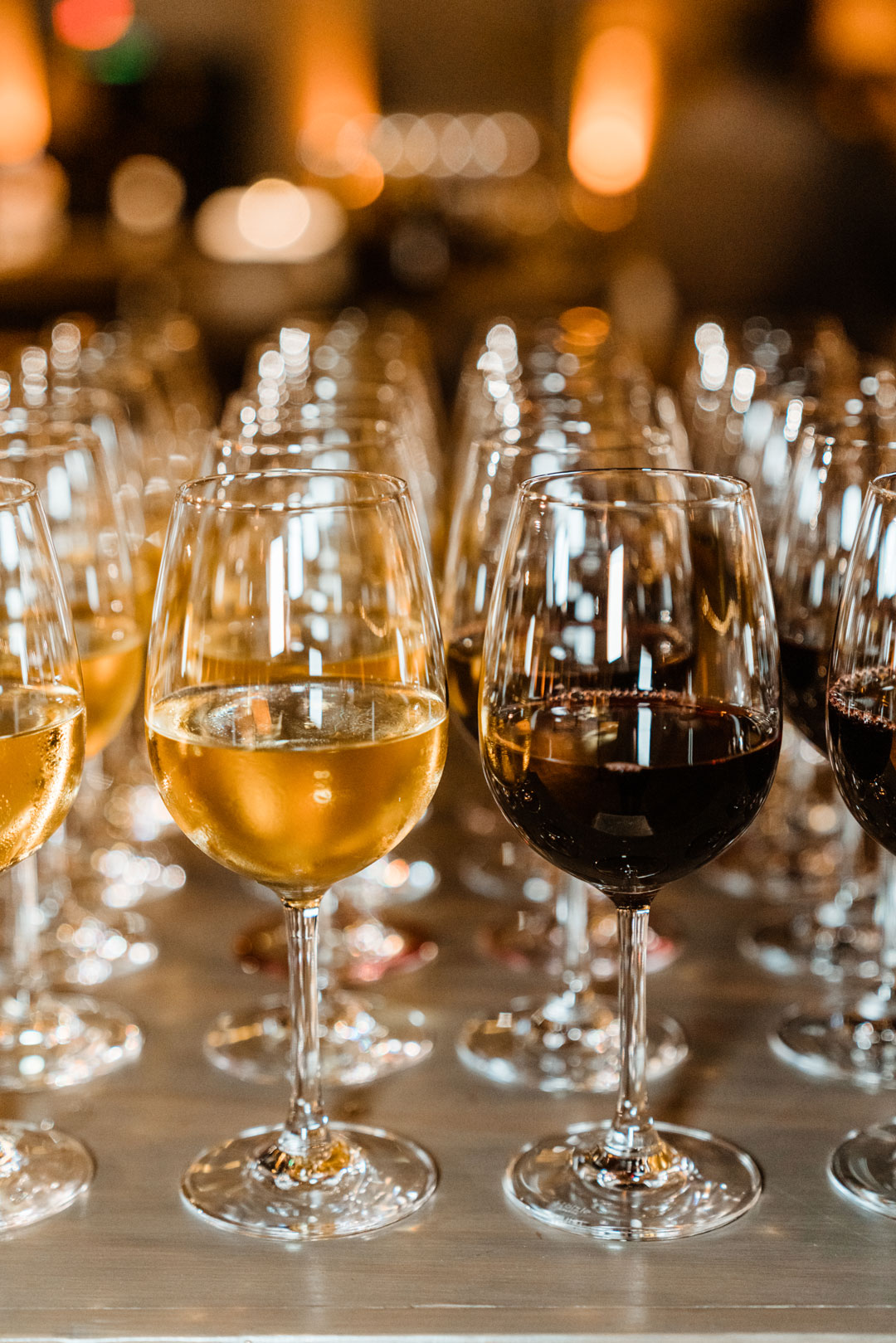 Rows of pre-poured white and red wine glasses lined up on the bar with warm lights behind