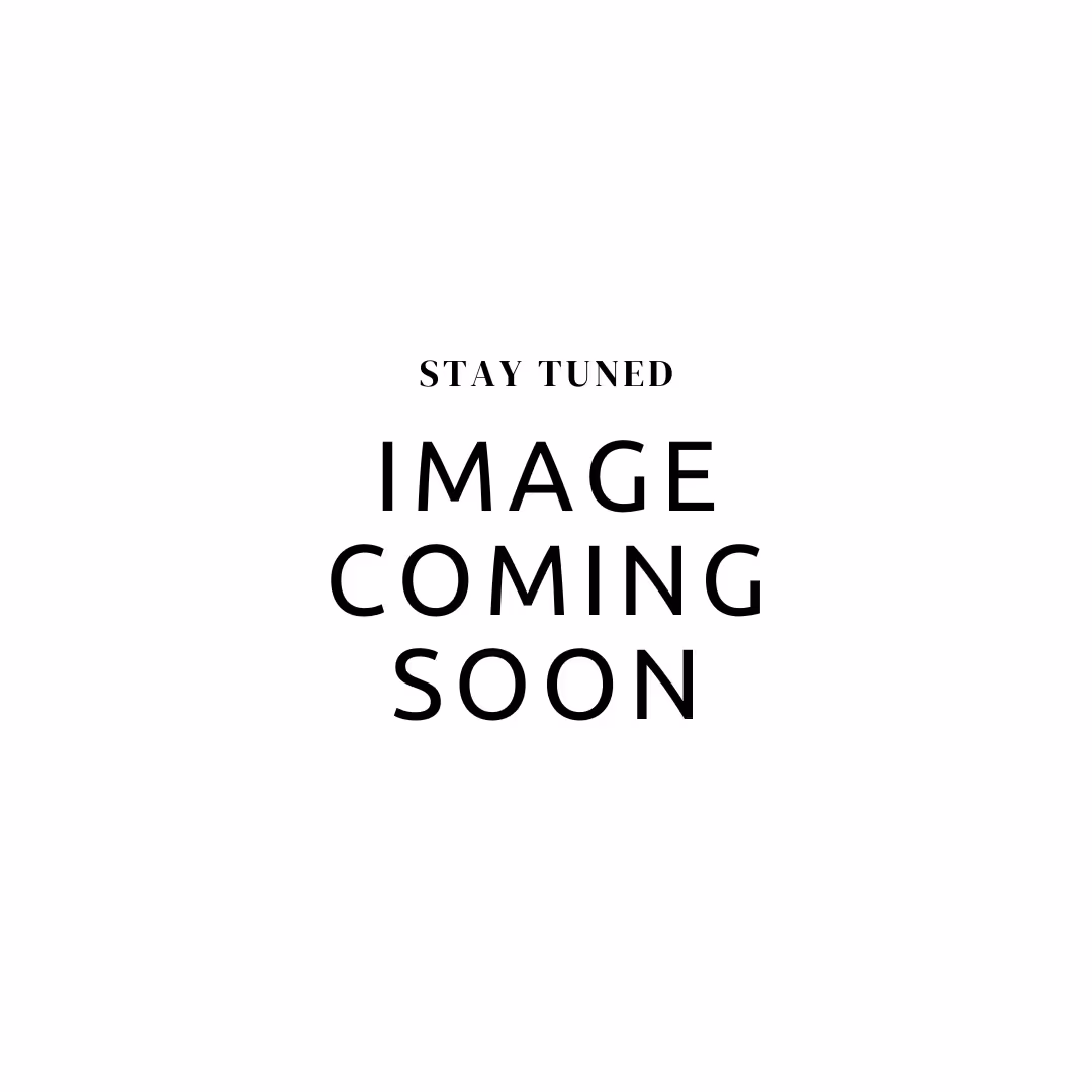 1 Bedroom | 1 Bathroom C layout