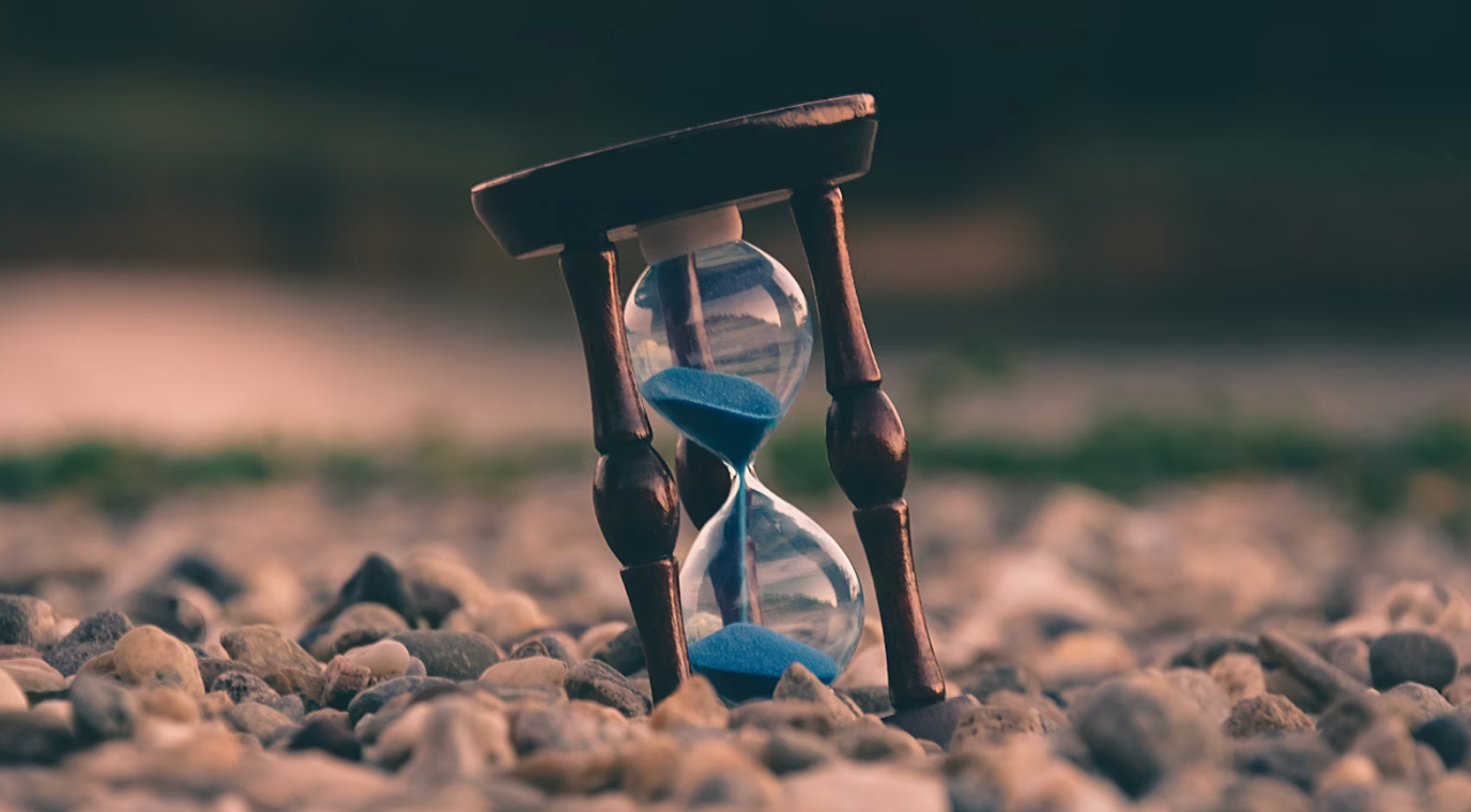 Stop Wasting Time with Pre-Recorded WCAG Courses — Do This Instead