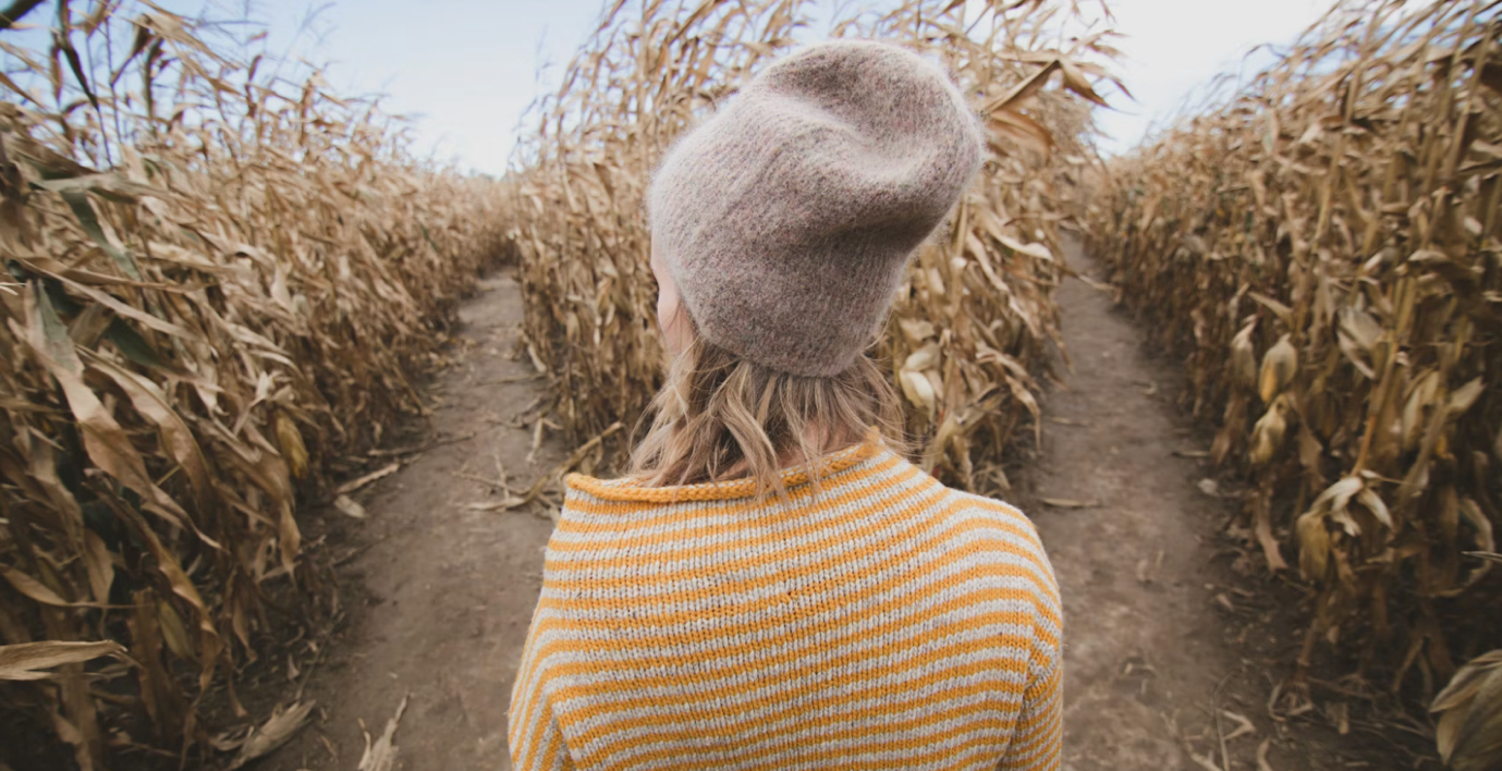 Best VPAT providers in the US and how to choose the right one